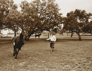 A sepia-toned photograph depicts a grassy field with a person wearing a wide-brimmed hat standing in the center holding a lasso rope tethered to a running horse mid-movement. In the background a horse stands still beneath a cluster of trees.